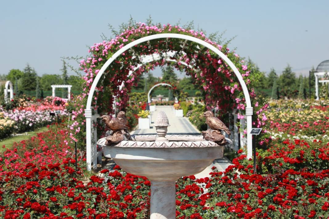 Doğanın en güzel tonları Karatay’da! Her detayıyla hayran bırakıyor 19